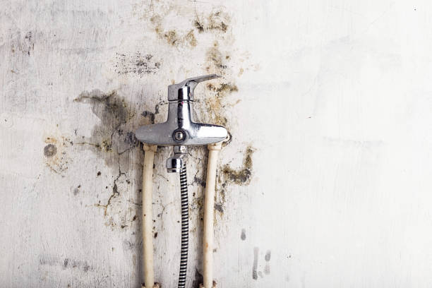 Best Water Damage Restoration  in Jefferson, OR