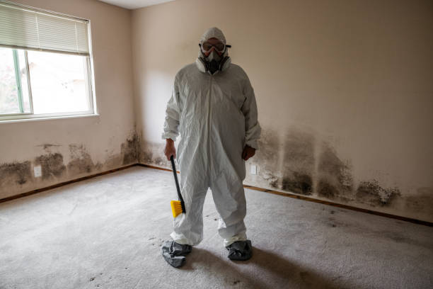 Trusted Jefferson, OR Mold Removal Experts